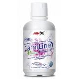 AM CarniLine Proactive 480ml